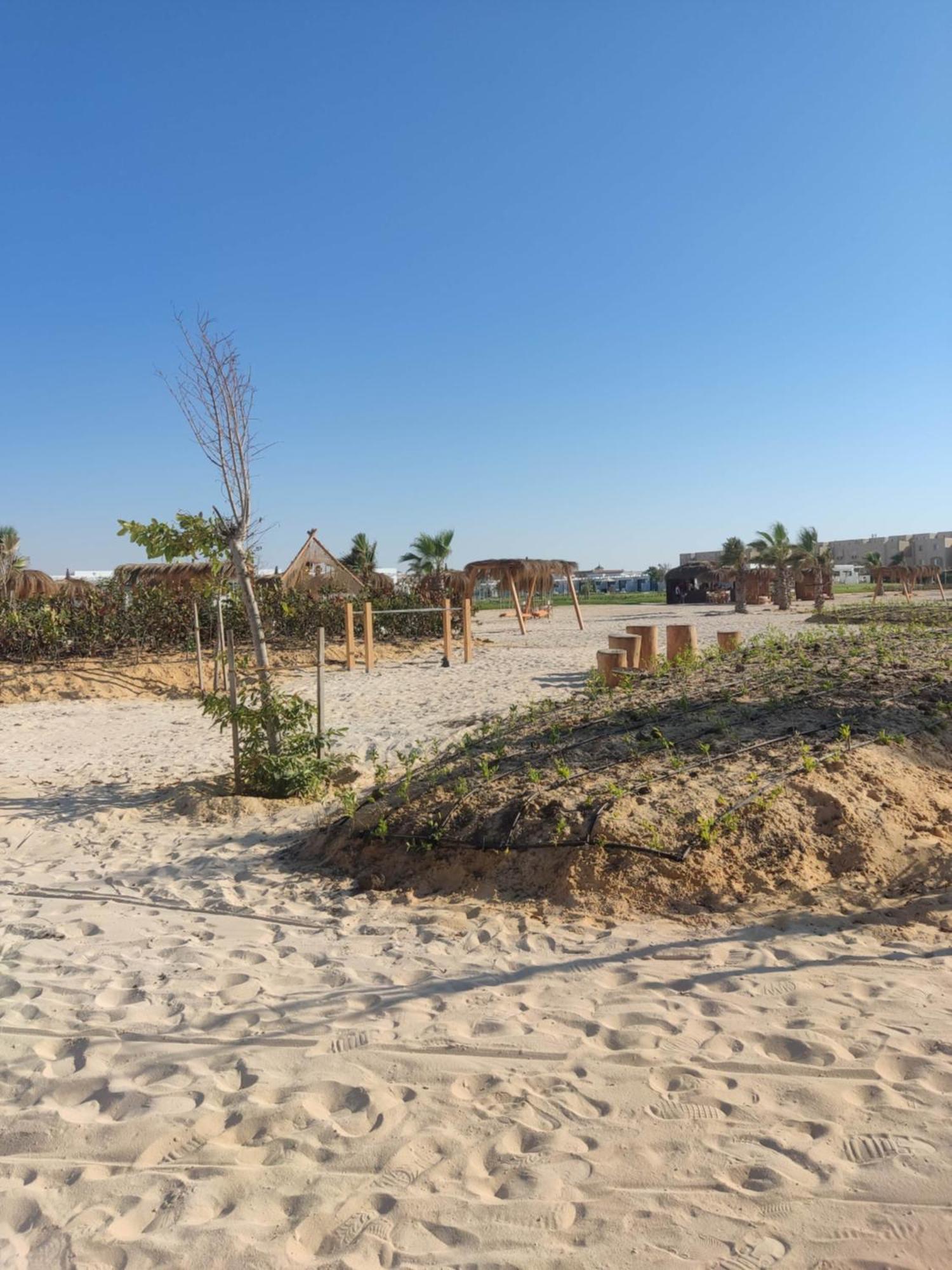 D-Bay North Coast Hotel Zawiyat 'abd al Mun'im Ngoại thất bức ảnh
