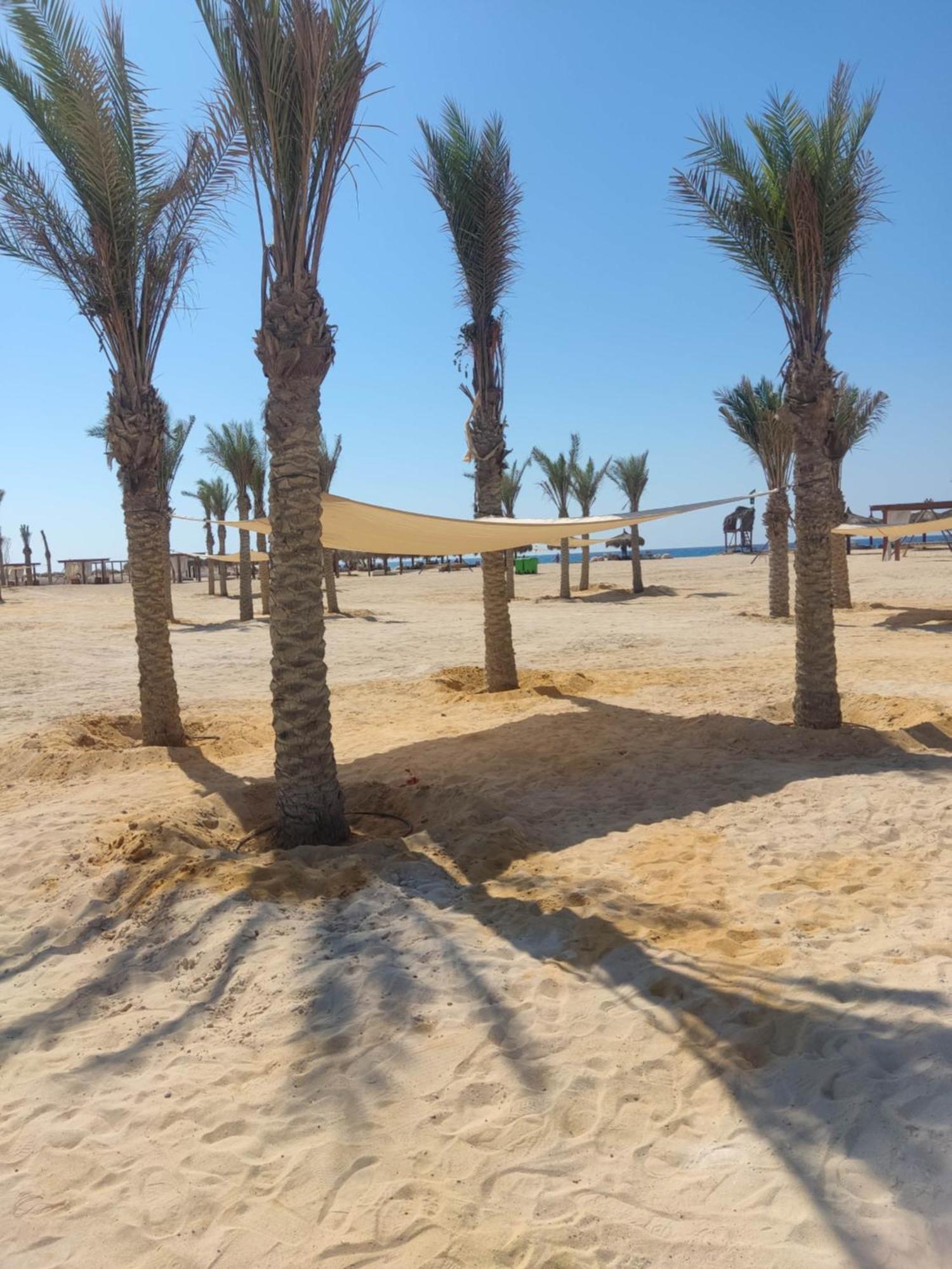 D-Bay North Coast Hotel Zawiyat 'abd al Mun'im Ngoại thất bức ảnh
